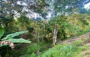 LUXURIOUS PRE-CONSTRUCTION 3-BEDROOM HOME IN DESIRED PLAYA HERMOSA – 0.57 ACRES